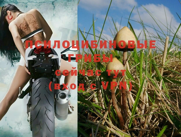 тгк Балабаново