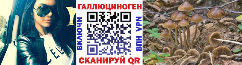 Псилоцибиновые грибы прущие грибы  Покачи 